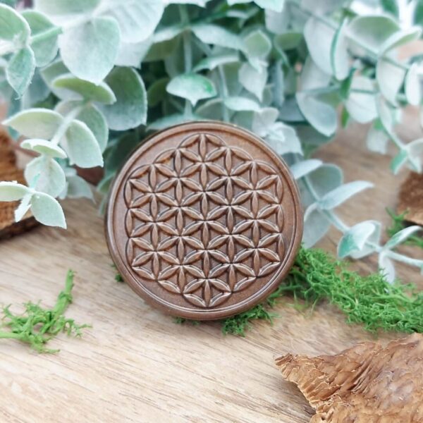 orgonite schijf pocket flower of life bruin