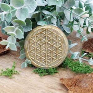 orgonite schijf pocket goudkleurig flower of life